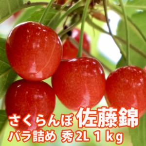 さくらんぼ 佐藤錦 山形 贈答 ギフト 送料無料 【 秀２Ｌ 1kg ばら詰め 佐藤N (S-003) 】 プレゼント チェリー お中元 サクランボ お中元