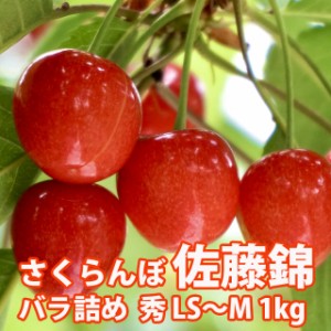 さくらんぼ 佐藤錦 山形 贈答 ギフト 送料無料 【 秀LS 1kg ばら詰め 佐藤N (S-005) 】 プレゼント チェリー お中元 サクランボ お中元 