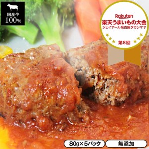 トマトソースハンバーグ 180g×5パック 【ハンバーグ 牛肉 国産牛 トマトソース 国産牛 洋食 冷凍食品 冷凍 おかず 食品 簡単 時短 手作