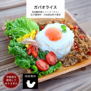 ガパオライスの具 1パック 【ガパオライス タイ料理 多国籍料理 冷凍 惣菜 冷凍食品 無添加】