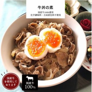 牛丼 1パック 【 惣菜 牛丼 国産牛 丼ぶり 冷凍食品 冷凍 おかず 無添加 食品 お惣菜 簡単 時短 手作り 非常食】