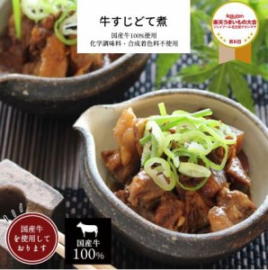 牛すじどて煮 1パック 【 国産牛すじ お歳暮 お取り寄せ 惣菜 詰め合わせ お惣菜 おかず ギフト 福袋 冷凍食品 牛すじ煮込み 牛すじどて