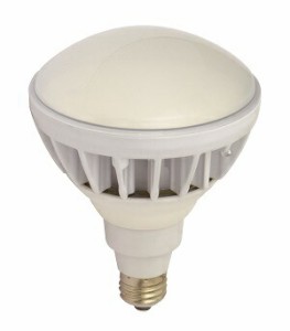 日動工業(NICHIDO)エコビック投光器用LED球のみ昼白色L20W-JW110-50K 照明 投光器 作業灯 LED投光器 2021
