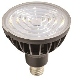 日動工業(NICHIDO)エコビック投光器用LED球のみ昼白色L50V2-J50BK-50K 照明 投光器 作業灯 LED投光器 2021