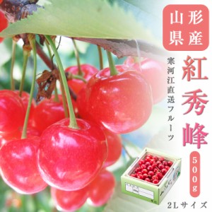 山形県産 さくらんぼ 紅秀峰 2Lサイズ　約500g さくらんぼ 送料無料 贈答 プレゼント 内祝い 出産祝い フルーツギフト ギフト お中元