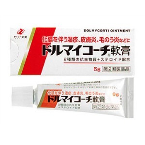 ドルマイコーチ軟膏 ６ｇ 　第(2)類医薬品　送料無料　定形外郵便