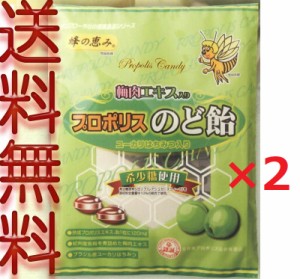 【ゆうパケット送料無料】プロポリス入り 梅肉のど飴　80g　×2袋 キャンディー【代引不可】