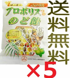 【全国送料無料】プロポリス入のど飴 100g×5袋 キャンディー