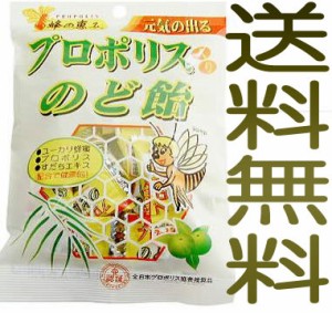 【定形外郵便　追跡番号無し】プロポリス入のど飴 100g キャンディー【代引不可】