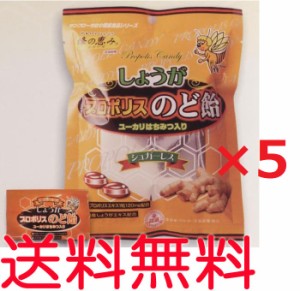 【送料無料】生姜（しょうが）プロポリス入りのど飴　80g ×5袋　キャンディー【代引可】