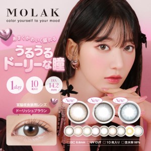 カラコン モラク MOLAK 1day 韓国カラコン ワンデー 1箱10枚入り   直径14.2mm カラコン