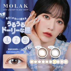 カラコン 送料無料 MOLAK Monthly モラク ワンマンス 度なし １箱２枚入り 14.2mm   カラコン