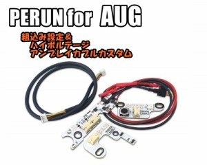 PERUN for AUG 組込設定＆ハイボルテージアンブレイカブルカスタム ペルン