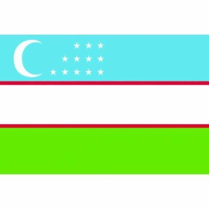 東京製旗 国旗No.1(70×105cm) ウズベキスタン