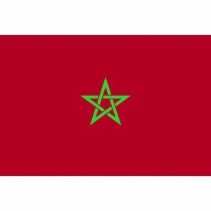 東京製旗 国旗No.1(70×105cm) モロッコ