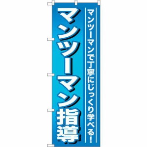 のぼりストア ☆G_のぼり GNB-759 マンツーマン指導 (GNB-759)