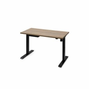 IRISOHYAMA アイリスオーヤマ アイリスオーヤマ 昇降テーブル 電動 立ちテーブル可能 自分好みの高さに移動できる テレワーク推奨 幅120c