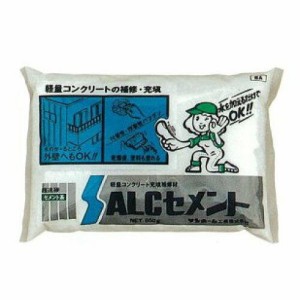 サンホーム ALCセメント 白色 CA-1 1000g