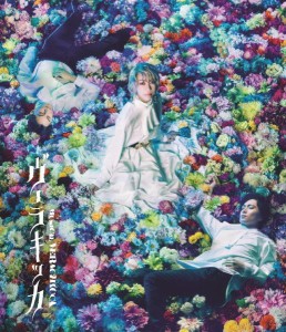 ポニーキャニオン ミュージカル『ヴェラキッカ』Blu-ray 通常版 美弥るりか