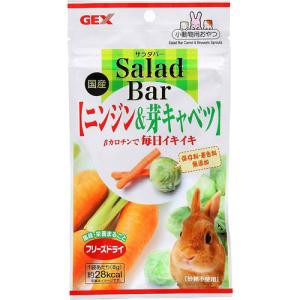 GEX(ジェックス) GEX Salada Bar ニンジン＆芽キャベツ 単品
