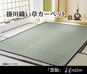 イケヒコ・コーポレーション 掛川織 い草カーペット 『雲仙』 ブルー 江戸間4.5畳(約261×261cm)  4415204 1個