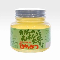 abt 鈴木養蜂場 はちみつ そば蜜(SB) 450g 2個セット (2944bk)