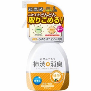 晴香堂 オカモト産業(CARALL) 柿渋消臭ミスト 無香料 車用消臭・芳香剤(スプレー式) 250ml 3019