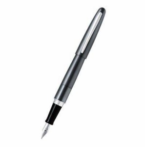 PILOT パイロット 万年筆 コクーン FCO-3SR-MGYF メタリックグレー