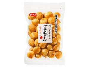 風見米菓 プチ風せん 120G【入数:12】