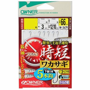 オーナー 時短ワカサギ5本 2.5-0.3