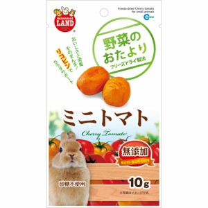 マルカン 野菜のおたより ミニトマト 10g ML82