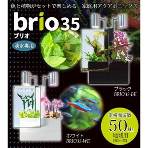 (ka741)brio(ブリオ) 家庭用アクアポニックス brio35 ブラック