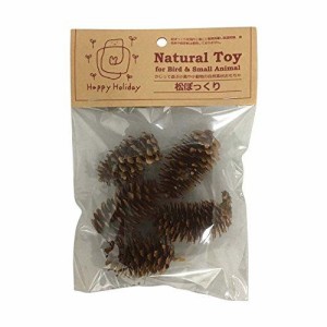 ピーツー・アンド・アソシエイツ Natural Toy 松ぼっくり 5個入