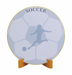 サクライ貿易 色紙スタンドセット サッカー SK-002