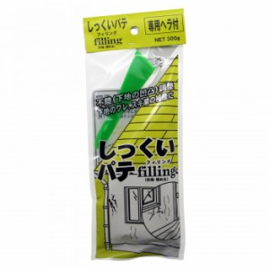 家庭化学工業 家庭化学 しっくいパテフィリング ホワイト 300g【3591110300】