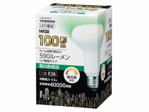 LDR10NHD2 LED電球 LDR10NHD2 [E26 /昼白色]