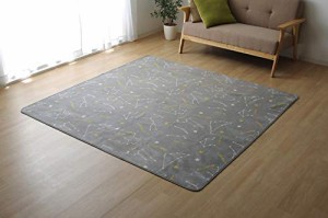 イケヒコ・コーポレーション 抗菌・防臭 ウォッシャブル フランネル ホットカーペットカバー 『WSミリオン RUG」グレー約200×250cm