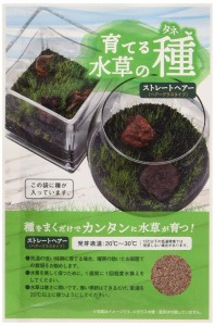 ニッソー 育てる水草の種 ストレートヘアー＆ロック 品番:NAW-183