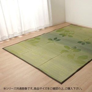 イケヒコ・コーポレーション い草ラグ おしゃれ シンプル カーペット 『ルース』 グリーン 約180×240cm