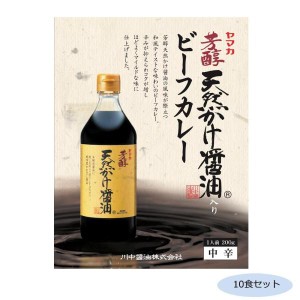 COMO LIFE ご当地カレー 広島 川中醤油天然かけ醤油ビーフカレー 中辛 10食セット