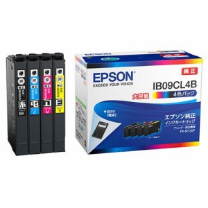 EPSON エプソン インクカートリッジ(4色パック)/大容量インク(IB09CL4B)