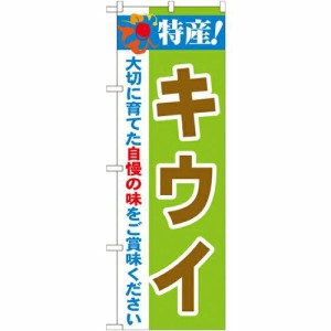 のぼり屋工房 のぼり 特産!キウイ No.21487 [並行輸入品]