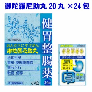 おんだらにすけがん　御陀羅尼丸　20丸×24包　消化不良　胃部・腹部膨満感　胃もたれ　軟便　便秘　小粒　富山　配置薬　置き薬　第3類