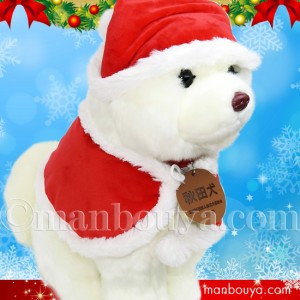 秋田犬 ぬいぐるみ クリスマス キュート販売 CUTE あきたいぬ 白毛 L 37cm サンタ衣装 まんぼう屋ドットコム