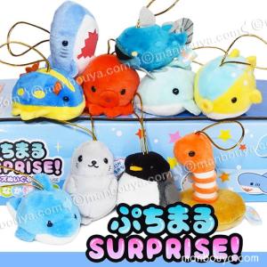 シーラカンス ぬいぐるみ Lの通販 Au Pay マーケット