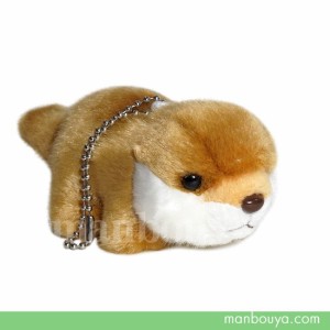 ぬいぐるみ カワウソ かわいい 動物 キュート販売 cute フォレストエンジェル コツメカワウソ マスコットBC 13cm まんぼう屋ドットコム