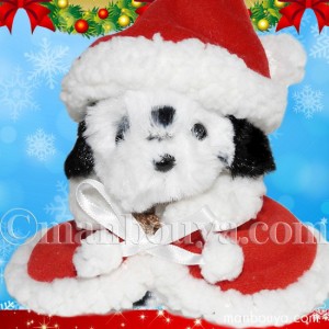 クリスマス ぬいぐるみ 犬 TAKENOKO たけのこ ダルメシアン サンタ衣装 まんぼう屋ドットコム