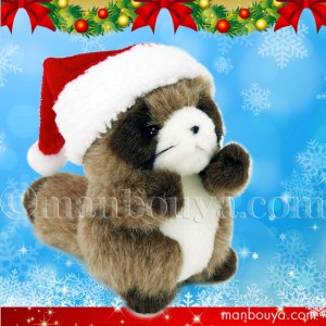クリスマスプレゼント ぬいぐるみ たぬき たけのこ TAKENOKO プチプチらんど 森のなかま タヌキ 10cm サンタ帽子 まんぼう屋ドットコム
