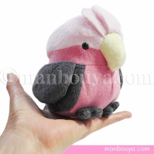 インコグッズ/雑貨 ぬいぐるみ A-SHOW（栄商）ムニュマムM モモイロインコ 12cm まんぼう屋ドットコム