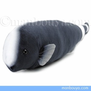 ブラックゴースト ぬいぐるみ 熱帯魚 A-SHOW 栄商 わくわく図鑑 Black Ghost Knife Fish 36cm まんぼう屋ドットコム